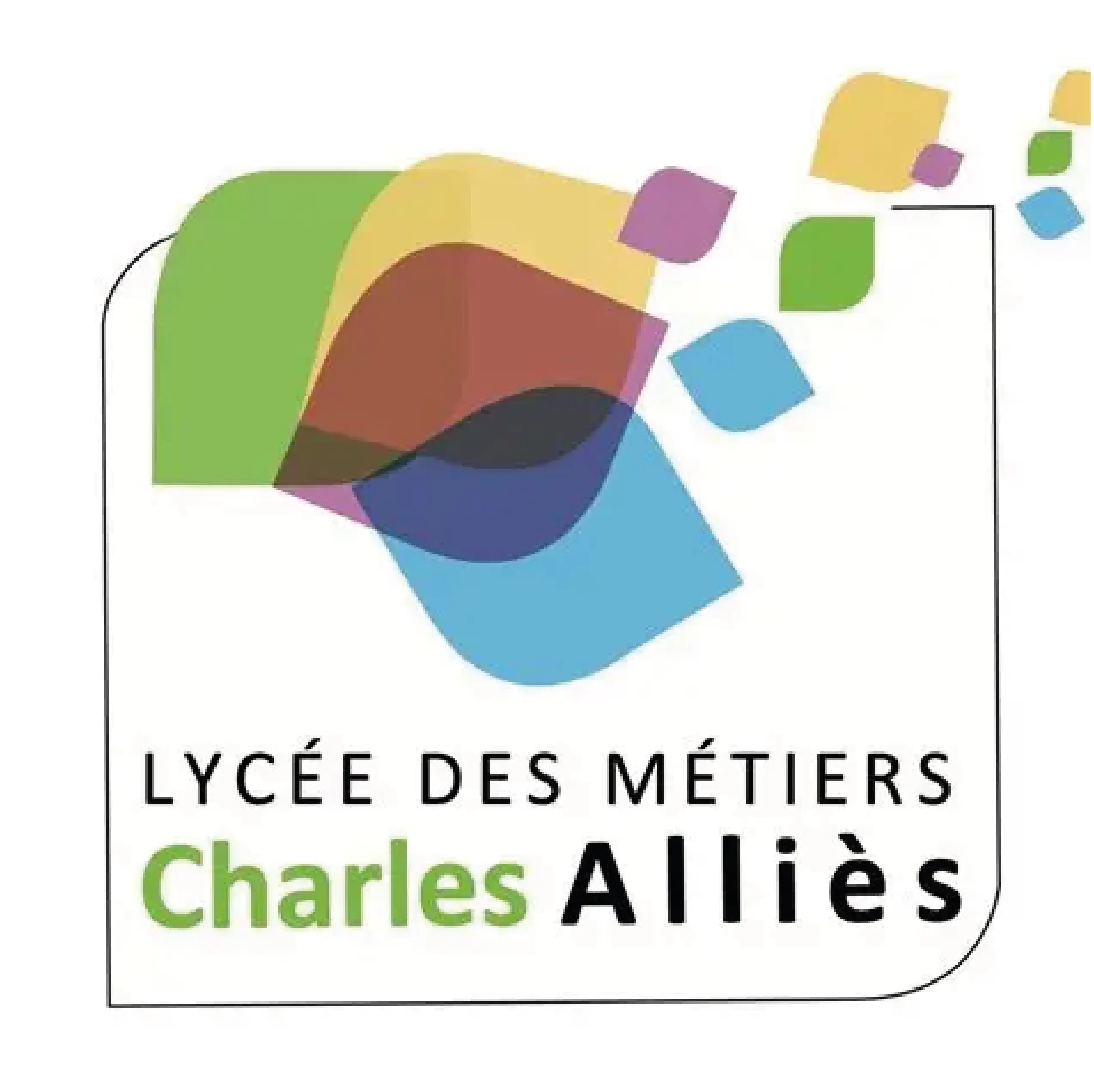 Partenaire